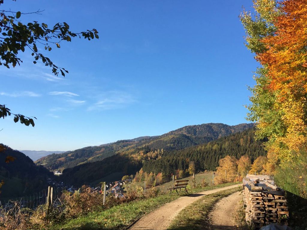 Natur pur